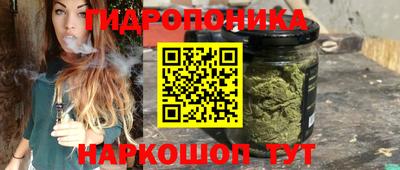 экстази Можга